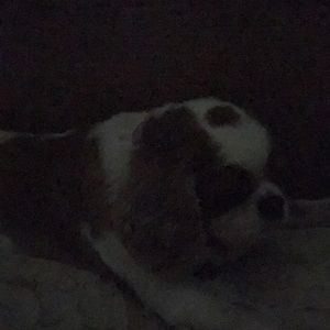 Meet your Posher, Davdave